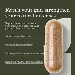 Illustration showing Bacillus coagulans, subtilis, and clausii probiotic strains