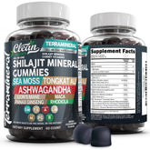 Terramineral Shilajit Gummies packaging box