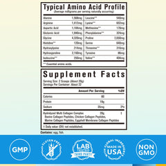 Five collagen types I II III V X