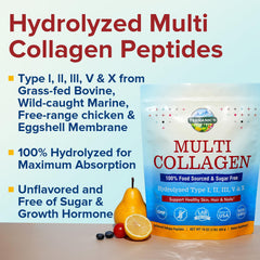 Sourced from bovine, marine, chicken and eggshell