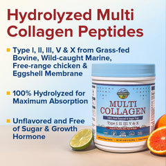 Terranics collagen peptides powder scoop with ingredients