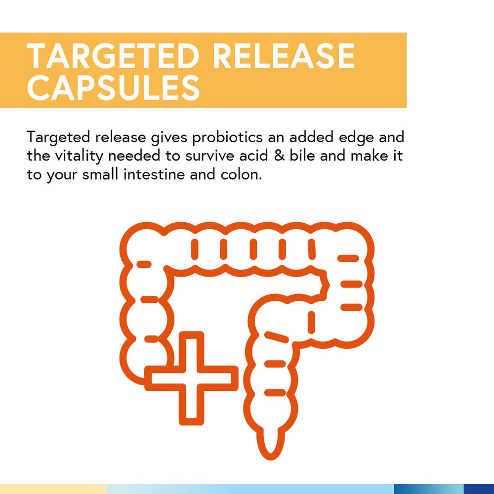 Artwork showing prebiotics and digestive enzymes