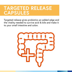 Artwork showing prebiotics and digestive enzymes