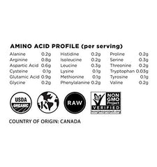Terrasoul hemp protein powder served in bowl highlights protein-rich breakfast ideas