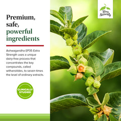 Lifestyle image representing sleep and energy support concept