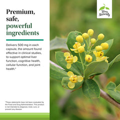 Ingredient list and supplement facts for Terry Naturally Berberine