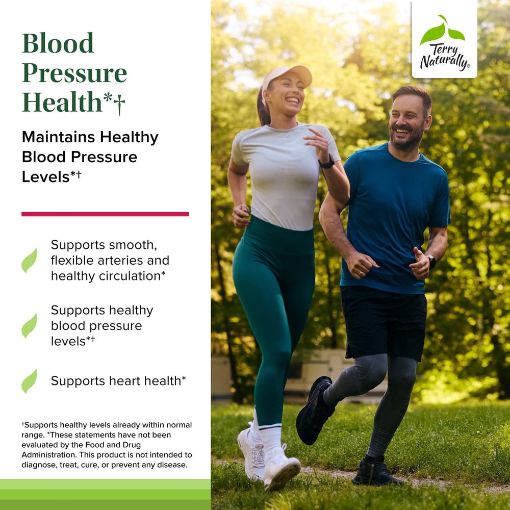 Healthy arteries and circulation illustration