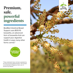 Label badge indicating no sugar, gluten, dairy, or artificial additives