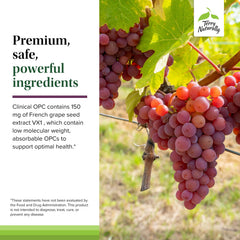 Immune support supplement with OPC