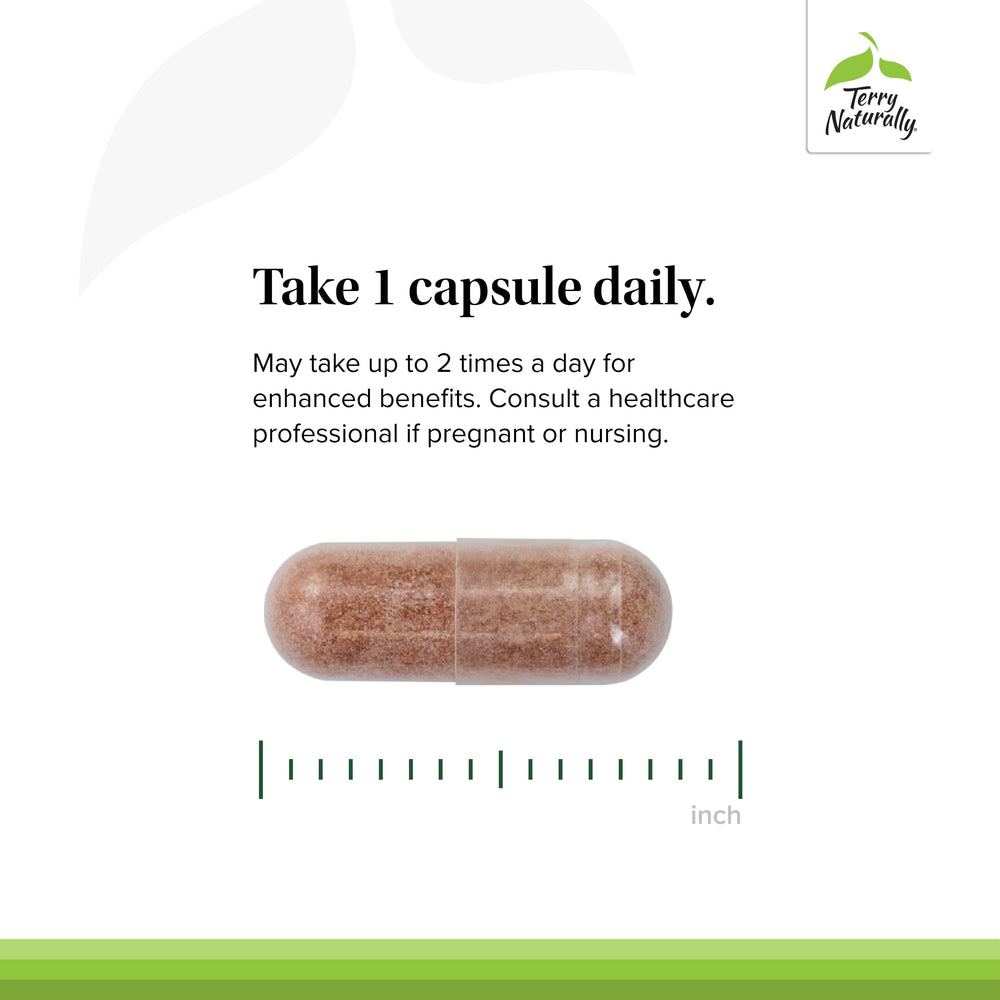 Sunflower lecithin absorption aid in Clinical OPC