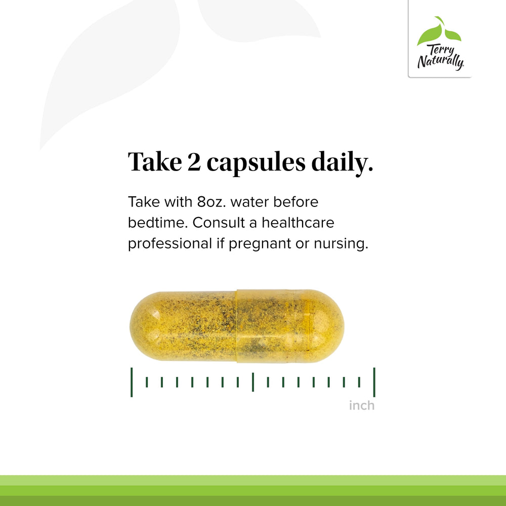 Visual representing gut health for Terry Naturally Digestive Formula