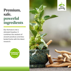 Concept image highlighting regularity with Terry Naturally Digestive Formula