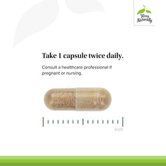 French grape seed extract ingredient visualization