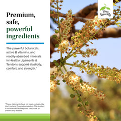 Ingredients highlight vitamins C and B for collagen production