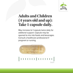 EP300 propolis compounds overview