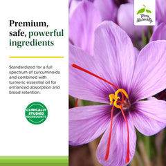 Relaxation and brain-support imagery for the saffron-curcumin blend