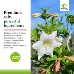 Vegan allergen-friendly capsules of Sucontral D
