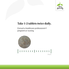 Graphic illustrating silica's role in bone health and calcium absorption