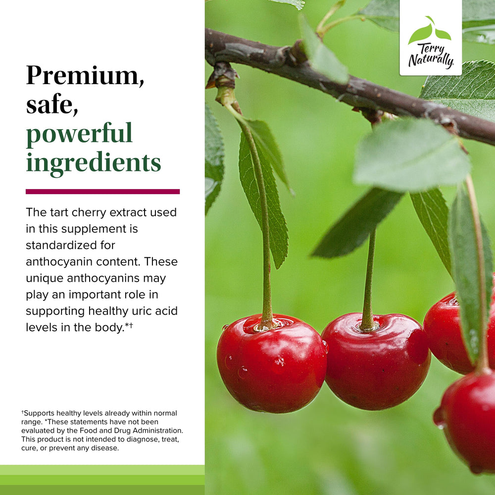 Graphic icon representing joint health and antioxidants