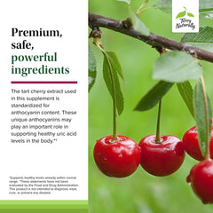 Graphic icon representing joint health and antioxidants