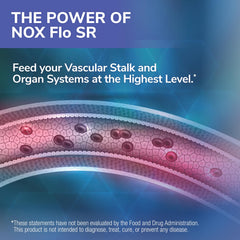Tesseract NOX Flo SR sustained-release nano-delivery diagram shows enhanced absorption.