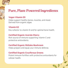 The Synergy Company vegan, gluten-free, non-GMO label