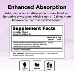 Berberine phytosome capsules close-up showing enhanced absorption