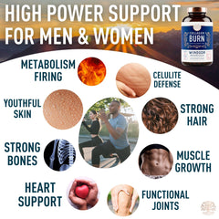 Graphic showing collagen types I, II, III, V and X