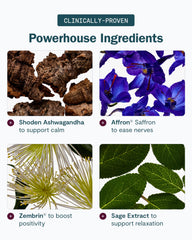 Optional caffeine capsule for Thesis Confidence