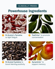 THESIS Energy daily-routine-scene depicts a six-on, one-off habit for consistent cognitive support.