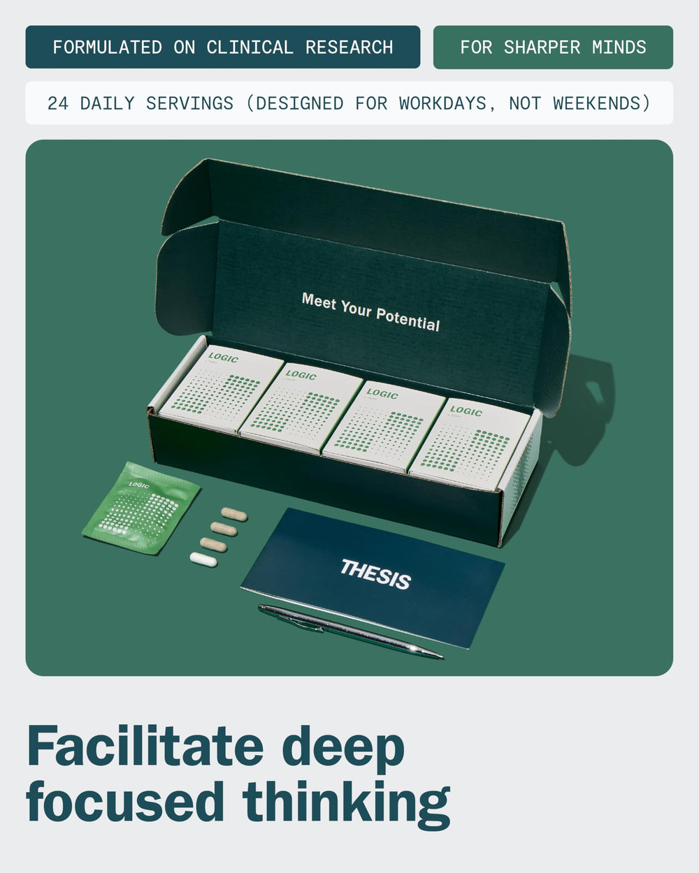 Ginkgo biloba and Bacopa Monnieri herbs illustration