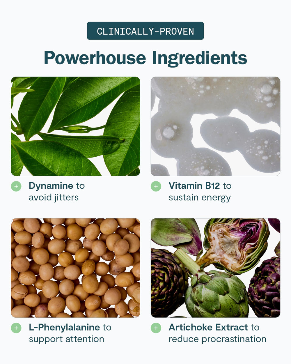 L-Phenylalanine ingredient in Thesis Motivation