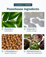 L-Phenylalanine ingredient in Thesis Motivation