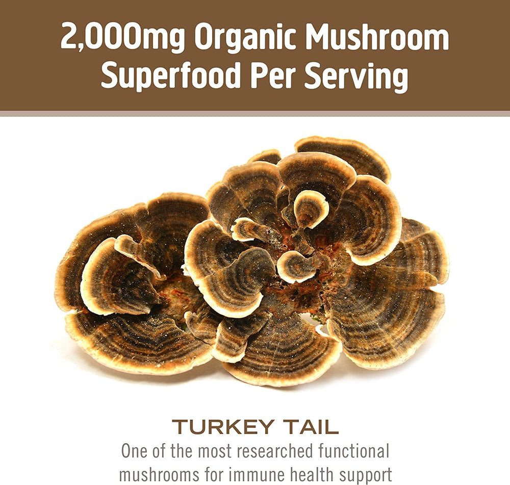 Third party testing seal on Om Mushroom product