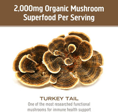 Third party testing seal on Om Mushroom product