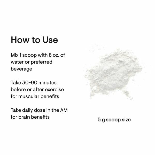 Close-up of micronized creatine monohydrate powder