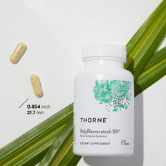 Illustration of SIRT-1 longevity enzymes