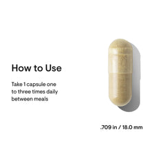 Graphic icon depicting gut health and digestion support