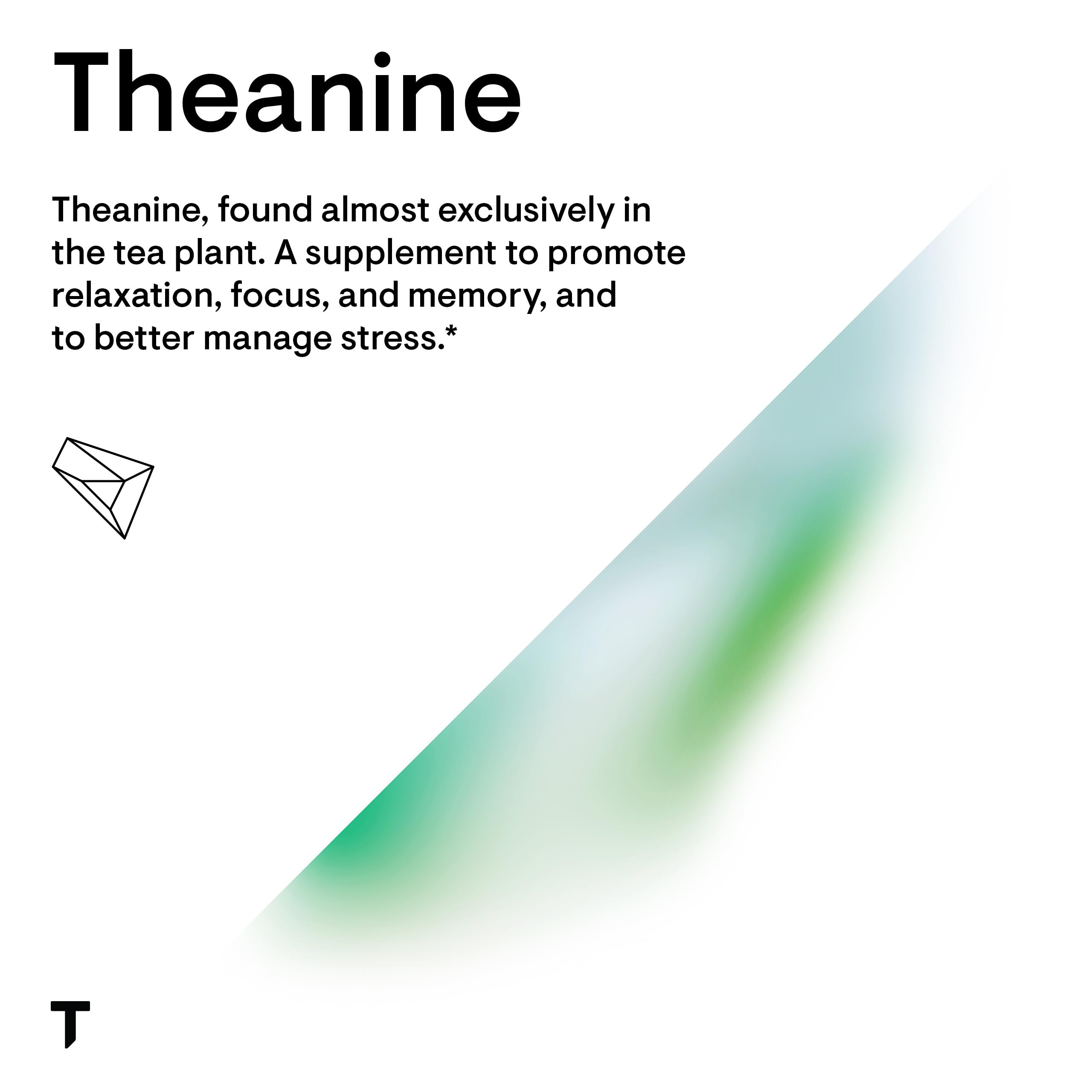 THORNE Theanine 200mg capsules arranged beside the bottle THORNE Theanine 200mg capsules arranged beside the bottle