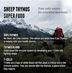 NZ-sourced thymus gland from grass-fed cattle