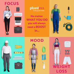 Iodine-rich thyroid formula with 14 adaptogens