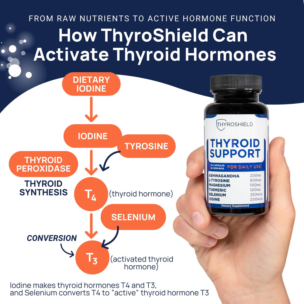 cGMP facility and CoA verification for ThyroShield - image 5