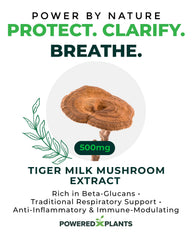 Label showing 50% beta-glucan for Tiger Milk Mushroom