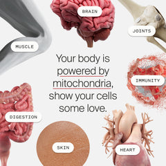 Lifestyle image suggesting vitality and longevity with Timeline Mitopure.