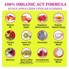 Tisestence ACV gummies green coffee bean imagery for metabolism support