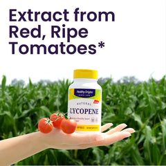 Tomato carotenoids spectrum illustration