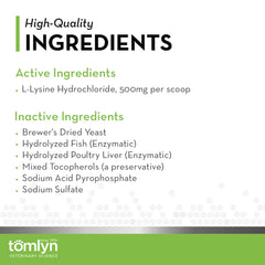 Healthy cat with bright eyes supported by L-Lysine