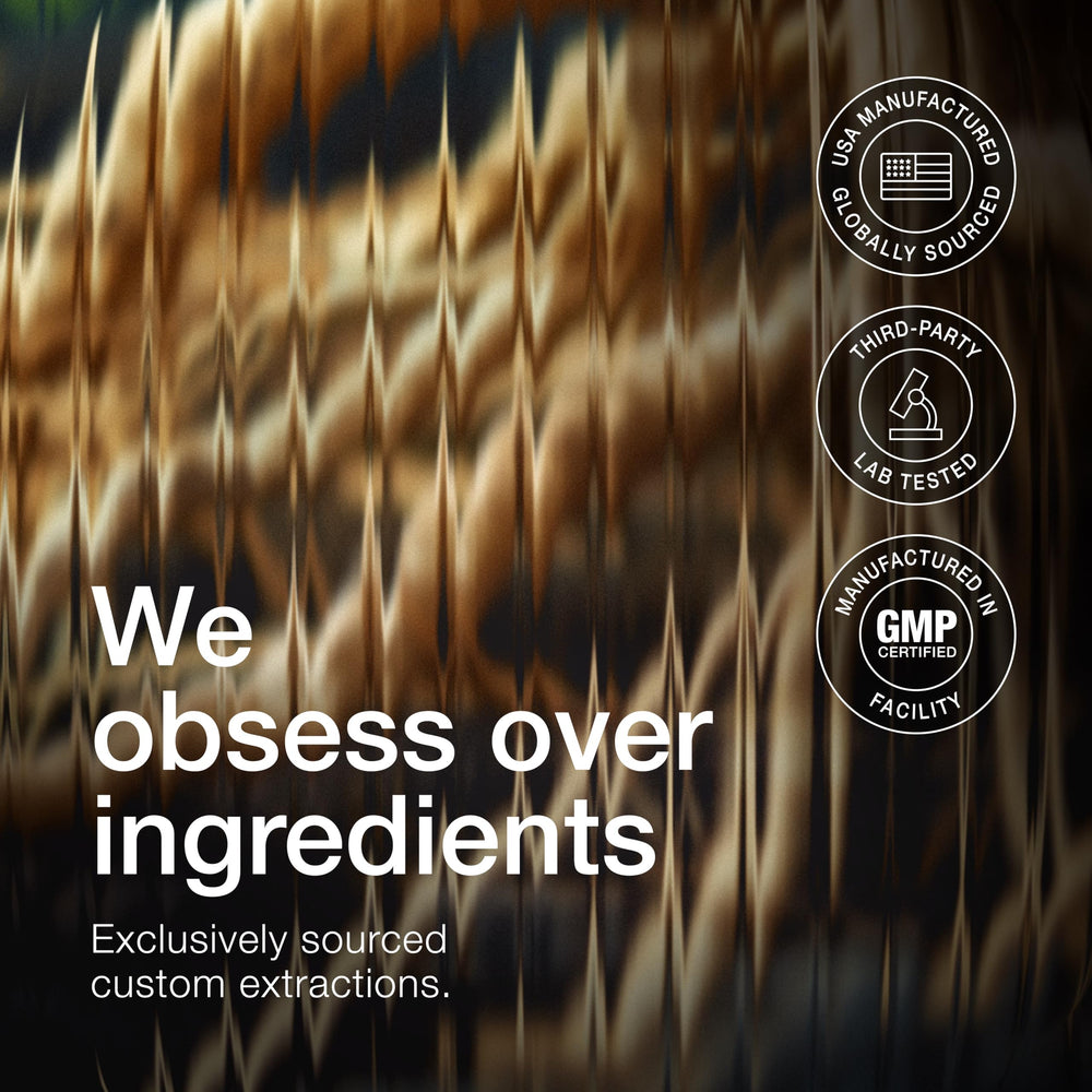 Wild-harvested Ashwagandha plant from India