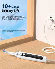 Lightweight, portable travel case for whitening kit