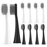 Black Burst-compatible toothbrush head close-up